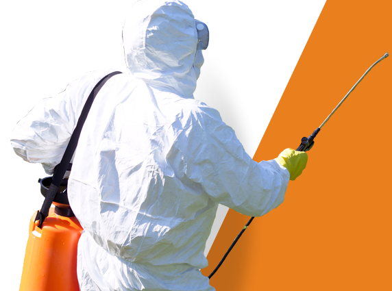 Pagebreakrechtsv4